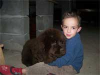 calin avec Matto