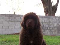 babouche 3 mois