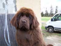 babouche 5 mois