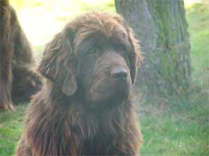 babouche 12 mois