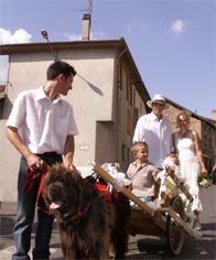 mariage