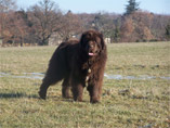 balade champetre