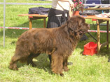 highlander à roanne