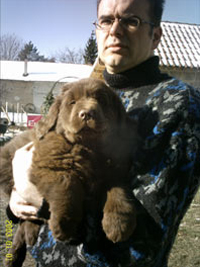 Bébé de Ouaillis au début