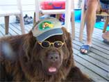 HIGHLANDER EN VACANCES