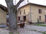 NOTRE MAISON