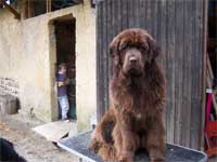 babouche 10 mois